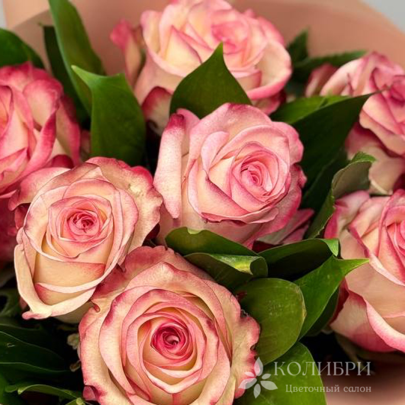 Букет из 7 розовых роз  3