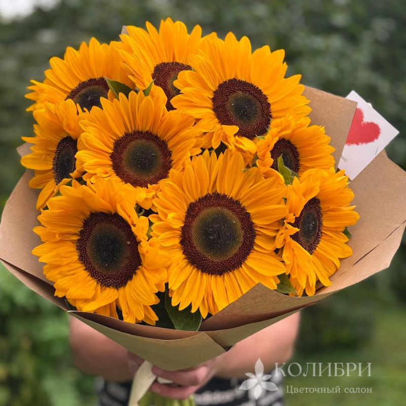 Букет из подсолнухов 9 шт