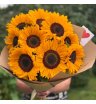 Букет из подсолнухов 9 шт