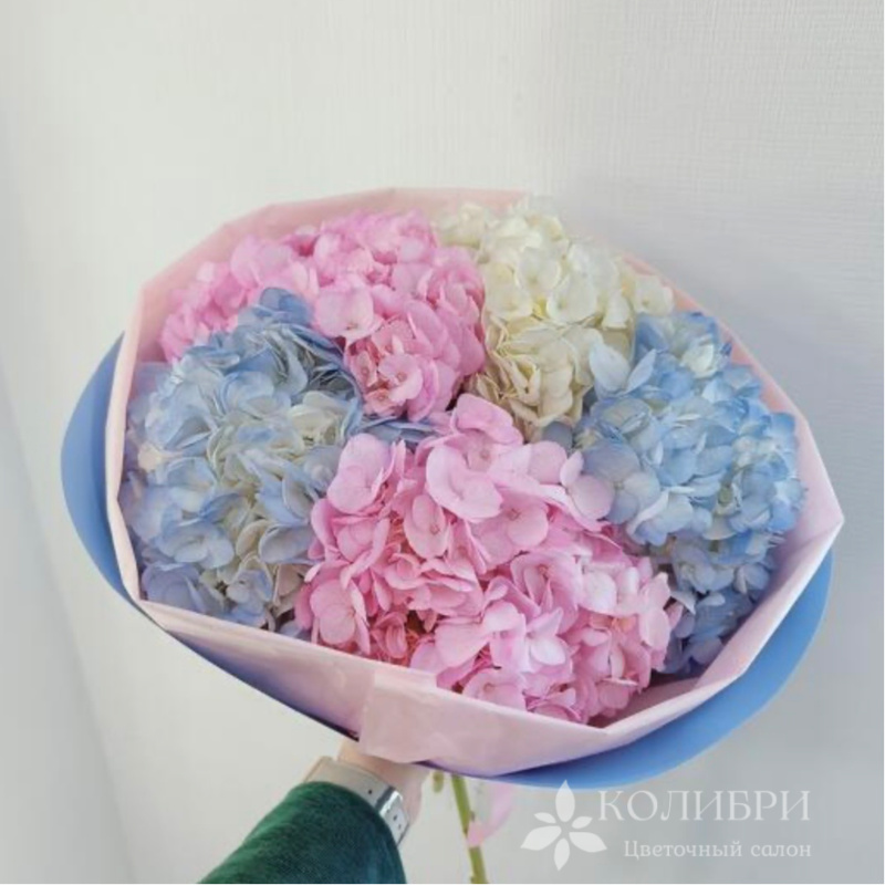 Гортензии нежности 2